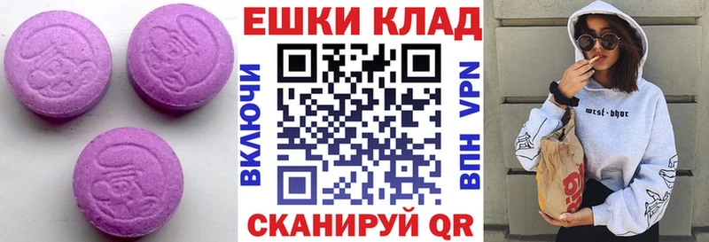 OMG   где продают   Обнинск  ЭКСТАЗИ Philipp Plein 