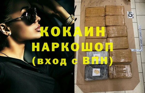 apvp Алзамай