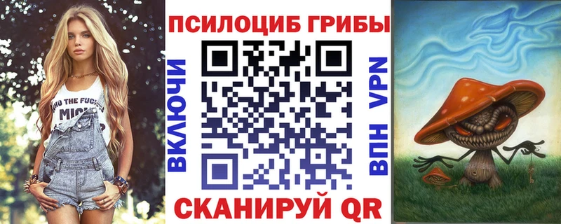 Галлюциногенные грибы Psilocybe  купить наркоту  Обнинск 