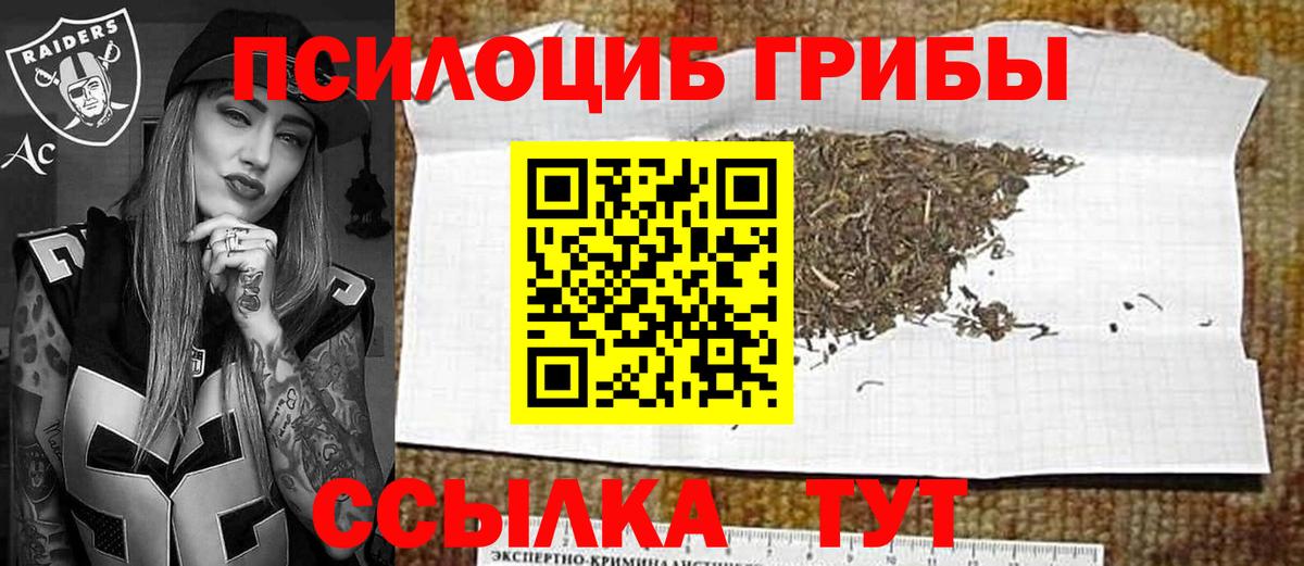 Псилоцибиновые грибы Psilocybine cubensis Обнинск