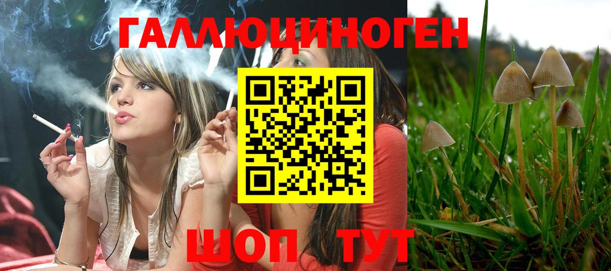 Псилоцибиновые грибы ЛСД  Вход с VPN  магазин продажи   Обнинск 
